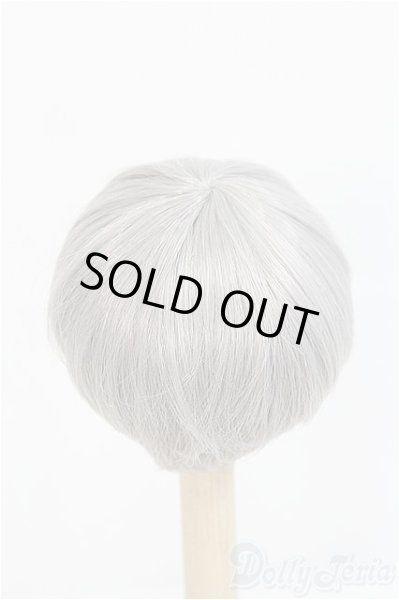 画像2: 7-8inch/ウィッグ DOLK SELECT/インチ　BJD　MJD　ドール用 I-25-08-31-106-KD-ZI (2)