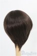 画像2: 7-8inch/ウィッグ　BJD CROBI/インチ　BJD　MJD　ドール用 I-25-08-31-110-KD-ZI (2)