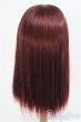 画像2: 8-9inch/ウィッグ/インチ　BJD　MJD　ドール用 I-25-08-31-139-KD-ZI (2)