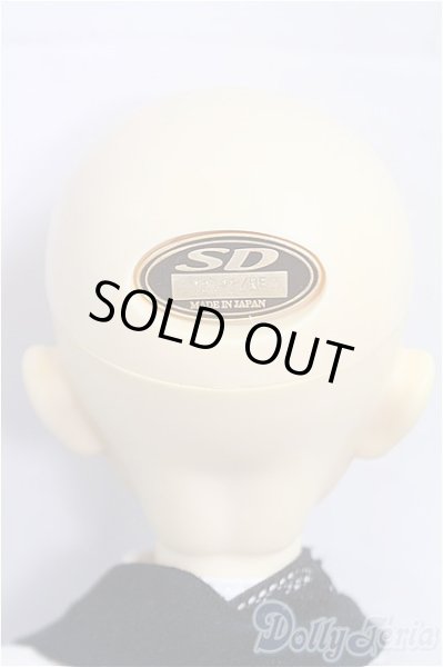 画像5: SD男の子/スタンダードモデル　マーク/BJD　球体関節人形 I-25-09-28-202-KD-ZI (5)