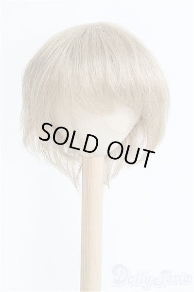 画像1: 8-9inch/ウィッグ/インチ　BJD　MJD　ドール用 I-25-08-31-203-KD-ZI (1)