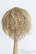 画像2: 8-9inch/ウィッグ/インチ　BJD　MJD　ドール用 I-25-08-31-203-KD-ZI (2)