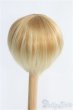 画像2: 8-9inch/ウィッグ/インチ　BJD　MJD　ドール用 I-25-08-31-204-KD-ZI (2)