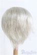 画像2: 8-9inch/ウィッグ/インチ　BJD　MJD　ドール用 I-25-08-31-205-KD-ZI (2)