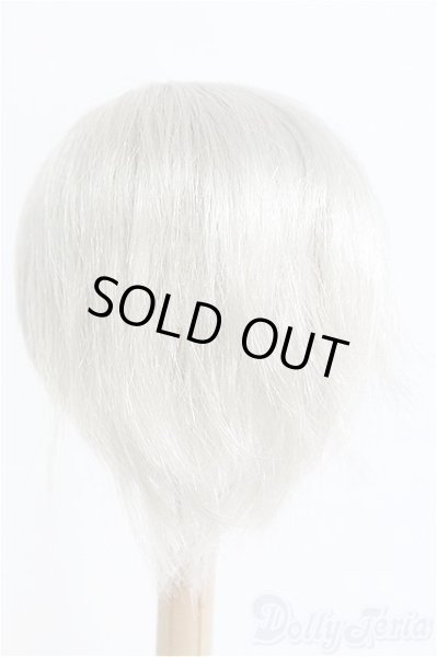 画像2: 8-9inch/ウィッグ/インチ　BJD　MJD　ドール用 I-25-08-31-205-KD-ZI (2)