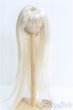画像1: 8-9inch/ウィッグ/インチ　BJD　MJD　ドール用 I-25-08-31-208-KD-ZI (1)