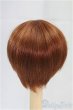画像2: 6-7inch/ウィッグ　BJD CROBI/インチ　BJD　MJD　ドール用 I-25-09-14-068-KD-ZI (2)
