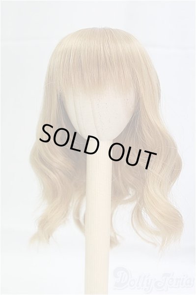 画像1: 6-7inch/ウィッグ/インチ　BJD　MJD　ドール用 I-25-09-14-073-KD-ZI (1)