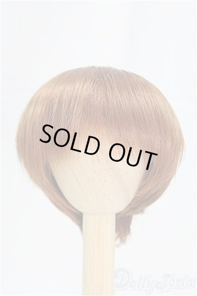 画像1: 7-8inch/ウィッグ　BJD　CROBI/インチ　BJD　MJD　ドール用 I-25-09-14-079-KD-ZI (1)