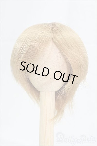 画像1: 7-8inch/ウィッグ　BJD　CROBI/インチ　BJD　MJD　ドール用 I-25-09-14-080-KD-ZI (1)