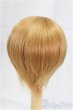 画像2: 7-8inch/ウィッグ　BJD　CROBI/インチ　BJD　MJD　ドール用 I-25-09-14-080-KD-ZI (2)