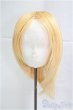 画像1: 8-9inch/ウィッグ/インチ　BJD　MJD　ドール用 I-25-09-14-060-KD-ZI (1)