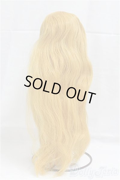 画像2: 8-9inch/ウィッグ　ロング/インチ　BJD　MJD　ドール用 I-25-09-14-041-KD-ZI (2)