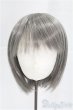 画像1: 9inch/ウィッグ　シルバー/インチ　BJD　MJD　ドール用 I-25-09-14-042-KD-ZI (1)
