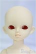 画像1: 幼SD/シン/BJD　球体関節人形 I-25-09-14-039-KD-ZI (1)