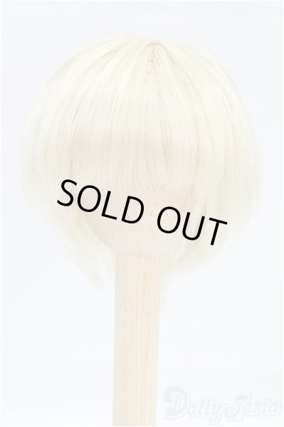 画像1: 6-7inch/ウィッグ　Rosen Lied　Tuesday's Child 火曜子サイズ I-25-09-07-150-KD-ZI (1)