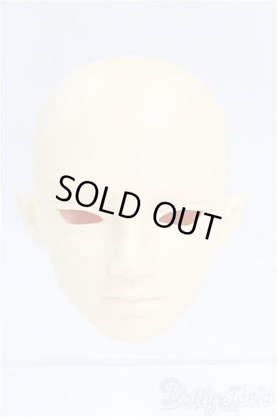 画像1: SD/F-30ヘッド  I-25-09-07-059-KD-ZI (1)