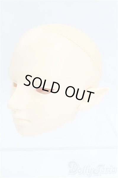 画像2: SD/F-30ヘッド  I-25-09-07-059-KD-ZI (2)