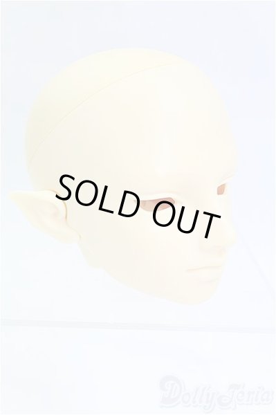 画像3: SD/F-30ヘッド  I-25-09-07-059-KD-ZI (3)