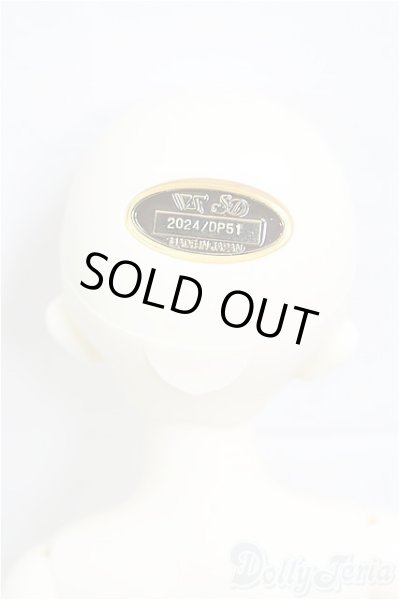 画像6: SDM女の子/ここ〜10周年記念Ver.〜 I-25-09-07-102-KD-ZI (6)