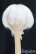画像1: 6-7inch/ウィッグ I-25-09-14-291-KD-ZI (1)
