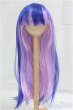 画像1: 9-10inch/ウィッグ　ブルー　パープル/インチ　BJD　MJD　ドール用 I-25-09-14-137-KD-ZI (1)