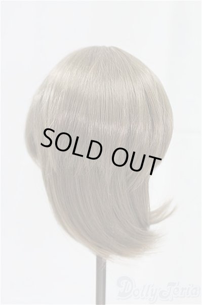 画像2: 8-9inch/ウィッグ I-25-09-14-198-KD-ZI (2)