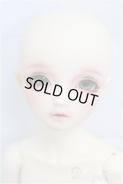 画像2: SDM女の子/F-61 アダプションモデル I-25-09-14-151-KD-ZI (2)