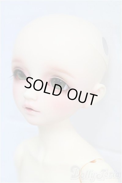 画像3: SDM女の子/F-61 アダプションモデル I-25-09-14-151-KD-ZI (3)