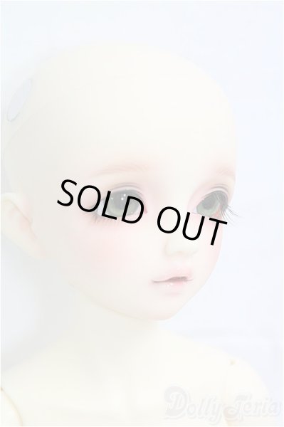 画像4: SDM女の子/F-61 アダプションモデル I-25-09-14-151-KD-ZI (4)