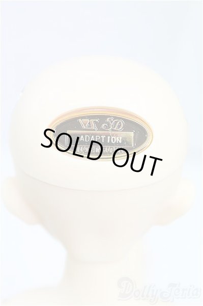 画像5: SDM女の子/F-61 アダプションモデル I-25-09-14-151-KD-ZI (5)