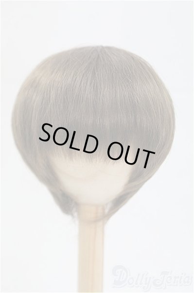 画像1: 8-9inch/ウィッグ I-25-09-14-293-KD-ZI (1)