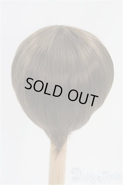 画像2: 8-9inch/ウィッグ I-25-09-14-293-KD-ZI (2)
