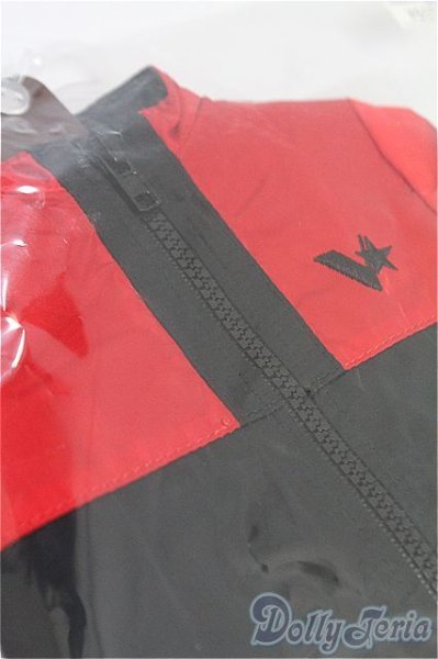 画像3: SD17B/OF:衣装セット I-25-09-14-209-KD-ZI (3)