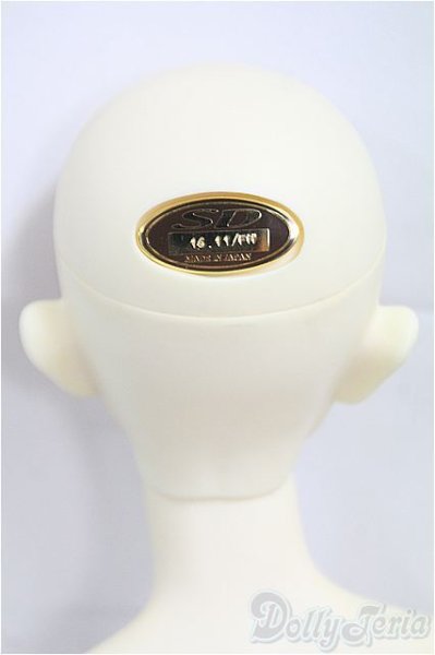 画像5: SDGｒBOY/フルチョイス：SD-F-49 I-25-09-21-002-KD-ZI (5)