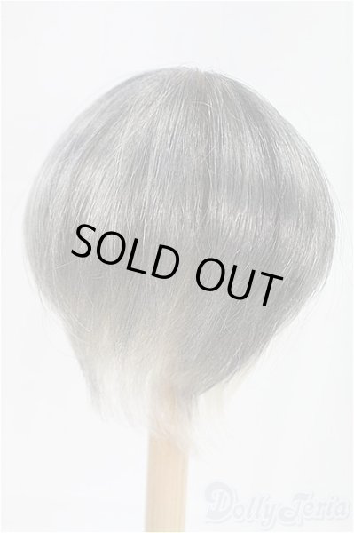 画像2: 8-9inch/ウィッグ I-25-09-28-042-KD-ZI (2)