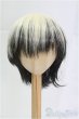 画像1: 8-9inch/ウィッグ　Pig　Doll様製/インチ　BJD　MJD　ドール用 I-25-10-05-290-KD-ZI (1)
