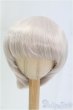 画像1: 9inch/ウィッグ/インチ　BJD　MJD　ドール用 I-25-10-05-291-KD-ZI (1)
