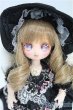 画像1: ミニスウィーツドール/DC11-02:カスタムドール I-25-10-05-015-KD-ZI (1)