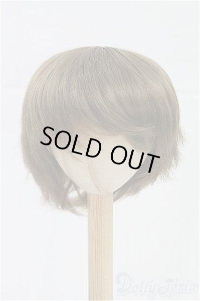 画像1: 9inch/ウィッグ/インチ　BJD　MJD　ドール用 I-25-10-05-241-KD-ZI (1)