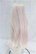 画像2: 8-9inch/ウィッグ/インチ　BJD　MJD　ドール用 I-25-10-12-050-KD-ZI (2)