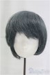 画像1: 8-9inch/ウィッグ/インチ　BJD　MJD　ドール用 I-25-10-26-210-KD-ZI (1)