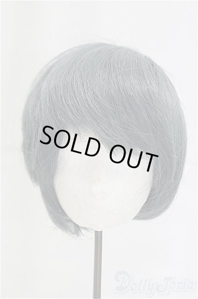 画像1: 8-9inch/ウィッグ/インチ　BJD　MJD　ドール用 I-25-10-26-210-KD-ZI (1)