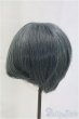 画像2: 8-9inch/ウィッグ/インチ　BJD　MJD　ドール用 I-25-10-26-210-KD-ZI (2)