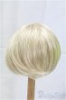 画像2: 9-10inch/ウィッグ/インチ　BJD　MJD　ドール用 I-25-10-26-213-KD-ZI (2)