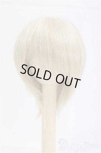 画像1: 6-7inch/ウィッグ/インチ　BJD　MJD　ドール用 I-25-10-12-095-KD-ZI (1)