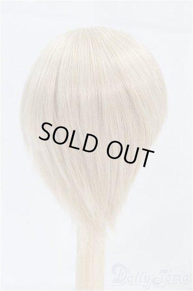 画像2: 6-7inch/ウィッグ/インチ　BJD　MJD　ドール用 I-25-10-12-095-KD-ZI (2)