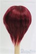 画像2: 7inch/ウィッグ/インチ　BJD　MJD　ドール用 I-25-10-19-067-KD-ZI (2)
