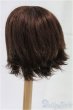 画像2: 9inch/ウィッグ/インチ　BJD　MJD　ドール用 I-25-10-19-069-KD-ZI (2)