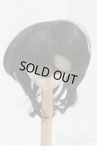 画像1: 9inch/ウィッグ/インチ　BJD　MJD　ドール用 I-25-10-19-070-KD-ZI (1)